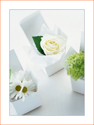 箱の中の花-イメージ
